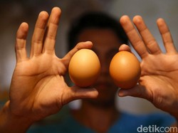 Telur Lagi Mahal, Pemerintah Mau Bayarin Ongkirnya Biar Murah