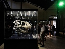 Kisah Penghancuran Museum Paleozoik, Tempat Koleksi Model Dinosaurus di New York