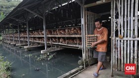 FOTO: Harga Telur Ayam Makin Mahal, Tembus Rp30 Ribu per Kg