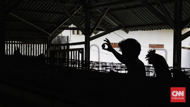 FOTO: Harga Telur Ayam Makin Mahal, Tembus Rp30 Ribu per Kg
