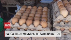 VIDEO: Harga Telur Mencapai 63 Ribu Per Karton