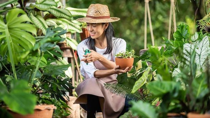 Wah, Studi Ungkap 'Ngobrol' dengan Tanaman Bisa Bikin Lebih Bahagia! Kok Bisa?