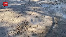 VIDEO: Kekeringan Ungkap Jejak Dinosaurus Berusia 113 Juta di Texas
