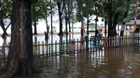 Krisis Iklim di Dalam Pot Pepaya dan Air Warga Pulau Pari yang Musnah