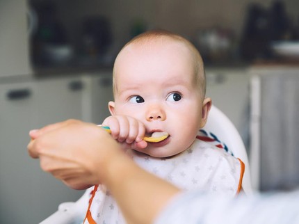 20 Menu MPASI 6 Bulan dan Snack Gampang Dibuat, Bergizi untuk Si Kecil
