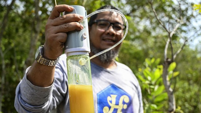 FOTO: Madu Linot, Si Manis dari Lebah yang Tak Menyengat di Aceh