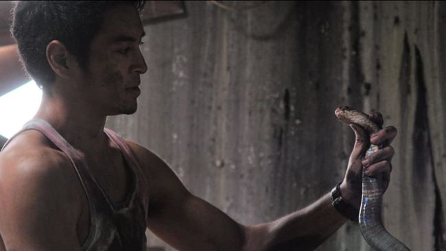 Sinopsis The Intruder (2010), film horor Thailand yang mengisahkan ketakutan penghuni apartemen diteror Raja Kobra.