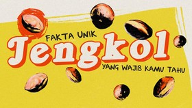 INFOGRAFIS: 9 Fakta Unik Jengkol yang Wajib Kamu Tahu Selain Baunya