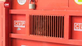VIDEO: Orangutan Sumatera Dikembalikan Ke Habitat Aslinya