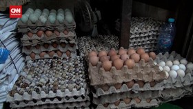 VIDEO: Harga Telur Rp32 Ribu, Warga Surabaya Puasa Konsumsi Telur