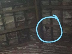 Benda Misterius Timpa Rumah Warga di Banyuwangi, Bikin Genting Bolong