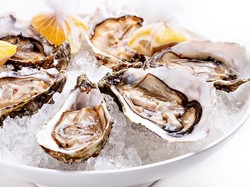 Ternyata Oyster Asal Aceh Punya Kualitas Eropa