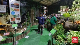 FOTO: Menikmati Akhir Pekan di Pameran Flora Fauna Lapangan Banteng