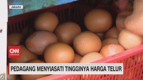 VIDEO: Pedagang Menyiasati Tingginya Harga Telur