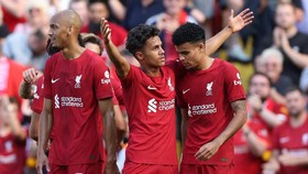 Kronologi Gol Kontroversi Liverpool vs Newcastle: Tragedi Menit 90+8