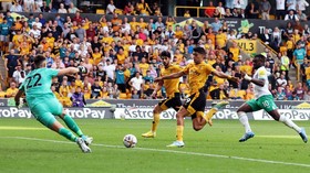 Hasil Akhir Wolverhampton vs Newcastle: Wolves Ditahan dengan Dramatis