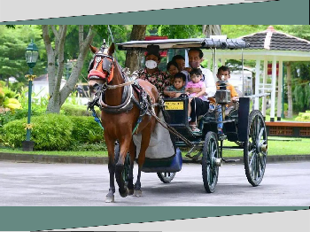 Dilema Budaya Hewan Pekerja dan Eksploitasi