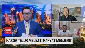 VIDEO: Harga Telur Melejit, Rakyat Menjerit