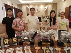 Ini yang Buat Klaviera Stephanie Tak Sia-sia Keluarkan Banyak Uang Untuk Anjing