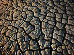 Pakar IPB Jelaskan Fenomena Tanah Kalimantan Retak Seperti di Afrika