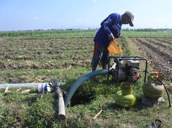 Kenaikan Harga BBM dan Subsidi untuk Petani