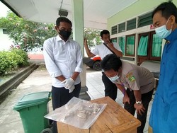 Temuan Serpihan Tulang di Jembrana Dipastikan Tengkorak Manusia