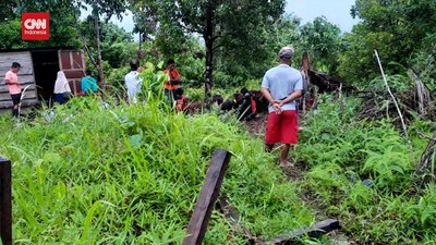 img-title VIDEO: Takut Ada Gempa Susulan, 500 Warga Mentawai Mengungsi