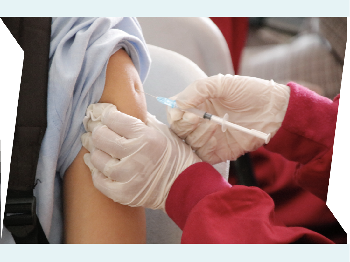 Inavac dan Indovac Jadi Nama Resmi Vaksin Buatan Dalam Negeri
