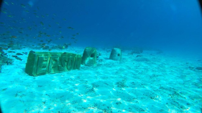 Epson Indonesia menyatakan mendukung Yayasan WWF Indonesia untuk mengembangkan program rehabilitasi terumbu karang menggunakan metode rockpile.