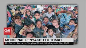 VIDEO: Mengenal Penyakit Flu Tomat yang Lebih Menular Daripada Covid19