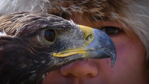 FOTO: Elang Emas Teman Berburu di Festival Salburun Kirgizstan