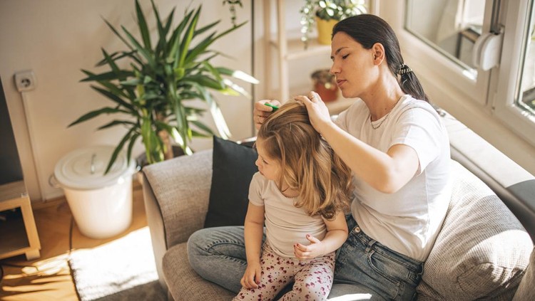 Ilustrasi Cara Mencegah Kutu pada Anak Mother doing head lice cleaning on daughter at home