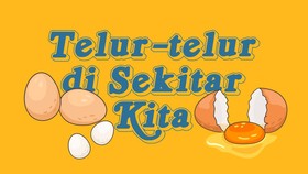 INFOGRAFIS: Telur-telur di Sekitar Kita