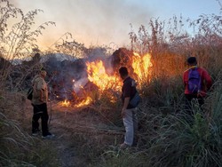 Polisi Selidiki Penyebab Kebakaran Hutan di Gunung Ciremai
