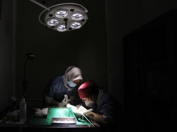 Klinik Hewan Pemkot Tangerang Buka Layanan Vaksin-Sterilisasi Anabul