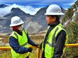 Jokowi Sebut Freeport Mau Bikin Smelter di Fakfak