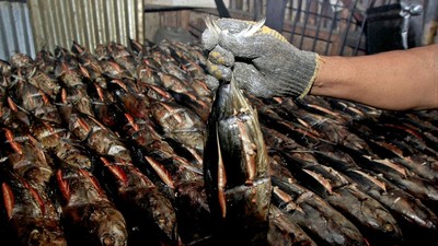 FOTO: Aneka Ragam Produk Olahan Ikan Tangkapan Nelayan Papua