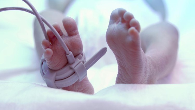 Ilustrasi Bayi Meninggal karena Orang Tua Diet Vegan Feet of new born baby under ultraviolet lamp in the incubator