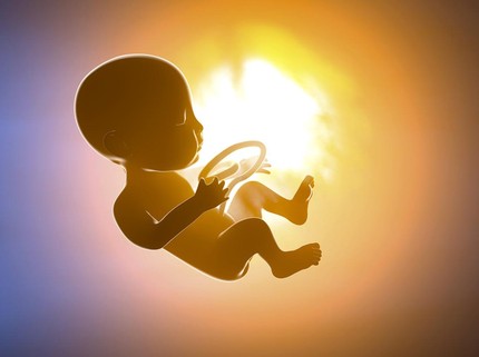 12 Ilustrasi Gambar Perkembangan Janin Trimester Satu: Minggu ke-1 sampai ke-12