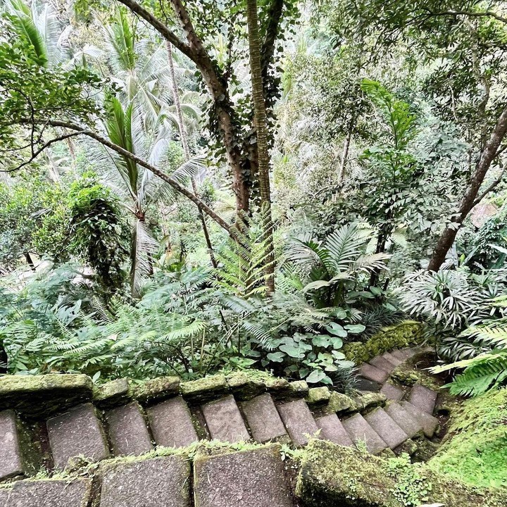 <p>Sebelumnya, Maudy juga membagikan momen liburannya di salah satu resor Ubud. Tak jauh berbeda, pasangan ini memilih lokasi dengan pemandangan hutan yang asri dan segar. (Foto: Instagram @maudyayunda)<br /><br /><br /></p>