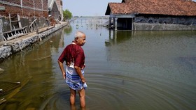 Daftar Wilayah RI yang Berpotensi Banjir Rob Sepekan ke Depan