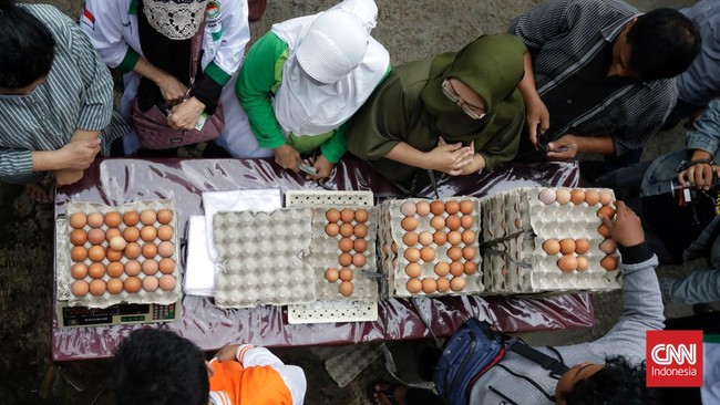 Harga telur kompak naik di sejumlah pasar jelang Natal 2022 dan Tahun Baru 2023. Di Jakarta, harga telur tertinggi terdapat di Pasar Mayestik; Rp33 ribu per kg.