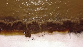 FOTO: Kotornya Pantai yang Tertutup Rumput Laut di Meksiko