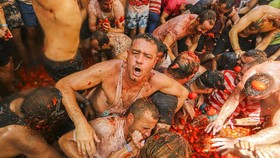 FOTO: Menjadi Merah dan Basah di Festival Perang Tomat Spanyol