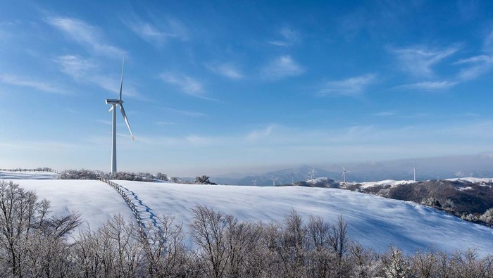 Mengenal Wisata Samyang Ranch, Destinasi Liburan Favorit di Korea Selatan Selama Musim Dingin