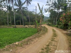 Mitos Bajul Putih Giriwoyo Wonogiri, Pejabat Pantang Lewat Kawasan Ini
