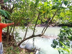 Pusparini Korban Tewas Kedua di Sungai Samblong Jembrana