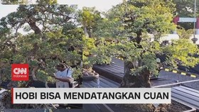 VIDEO: Hobi Bisa Mendatangkan Cuan