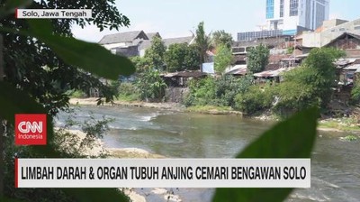 img-title VIDEO: Limbah Darah & Organ Tubuh Anjing Cemari Bengawan Solo