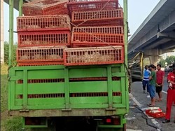 Ngeri Kecelakaan Truk Tabrak Bus di Tol: Penumpang Terjepit dan Menjerit
